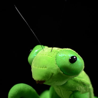 Lifelike Mantis Plush Toys Stuffed Animals