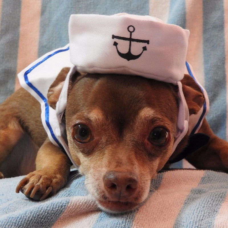Disfraces divertidos para mascotas para gatos, perros y conejos - Ropa para mascotas - Capa de chaqueta de disfraces de marinero azul marino - Artículos para mascotas
